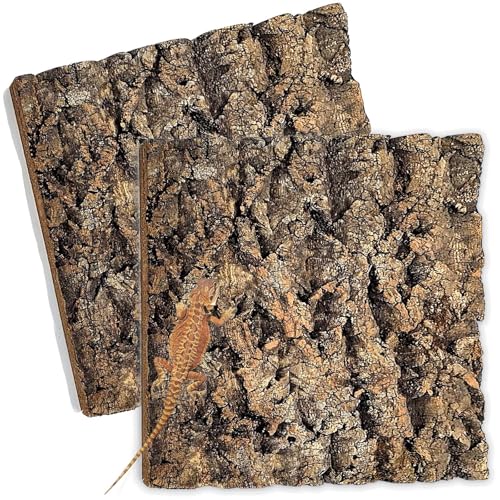 2PCS 11.8"x11.8" Natural Thickened Reptile Cork Bark Terrarium Background | Reptile Tank Background Board Climbing Wall Decor Terrarium Accessories for Lizard Bearded Dragon Gecko Chameleon Tortoise - size: 2PCS - M：11.8" x 11.8"