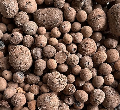 5 Liter Horticultural Ceramsite Clay Balls, Pebbles Growing Media for Hydroponic Aquaponic & Orchid - Large/Medium/Small (Large Size) - size: Large Size