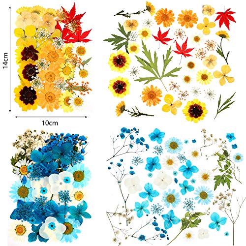 110 Pcs Dried Pressed Flowers for Resin, Real Dry Daisy Flowers and Leaves Bulk with Tweezers and Box Set, Art Crafts Resin Jewelry Making Scrapbook DIY Supplies Card, Soap, Candle Making, Nail Decor