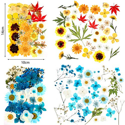 110 Pcs Dried Pressed Flowers for Resin, Real Dry Daisy Flowers and Leaves Bulk with Tweezers and Box Set, Art Crafts Resin Jewelry Making Scrapbook DIY Supplies Card, Soap, Candle Making, Nail Decor