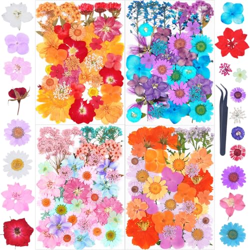 141Pcs Dried Pressed Flowers for Crafts,Xinxinran Dry Flower Kit for Resin Molds,Epoxy Resin Accessories,Bookmark,Nails, Jewelry Molds,Candle Making Supplies,Soap,Frame(Mixed Color) - color: Multi Color 141pcs