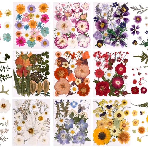 9 Packs of 200 Pressed Dried Flowers and Leaves for DIY Crafts - color: 9 Colors