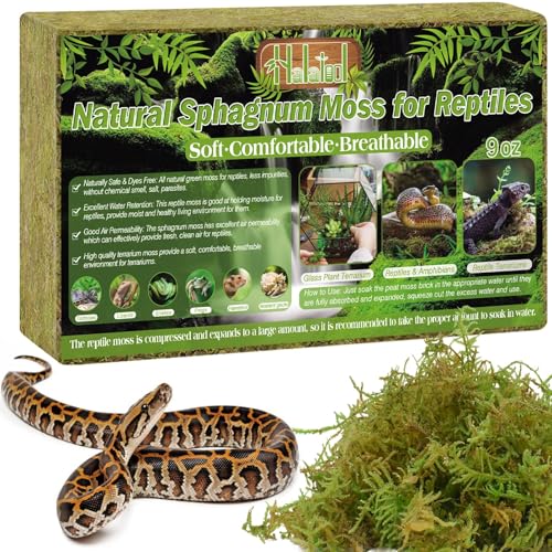 Halatool 9 OZ Sphagnum Moss for Reptiles - Green Terrarium Moss - size: 9OZ