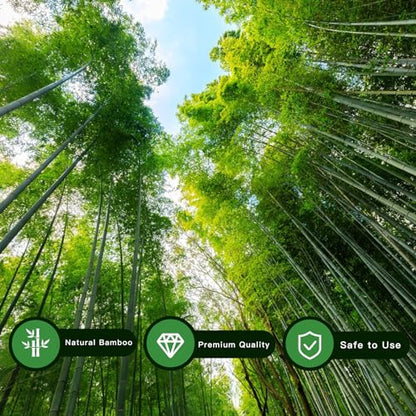 [32 Pcs] Garden Stakes, 18 Inches Natural Bamboo Plant Stakes, Plant Support Stakes with Twist Ties, Bamboo Sticks for Tomatoes, Beans, Flowers, Potted Plants, Indoor and Outdoor Climbing Plants - size: 1.5 Ft, 32 Pack