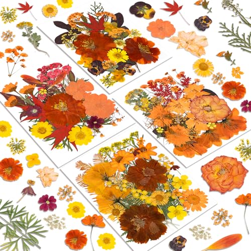 Dried Flowers, Resiners 100Pcs Pressed Flowers for Craft Real Natural Dried Flowers Dry Leaves Kit for DIY Making Crafts Resin Soap Candle Scrapbook Supplies Card Making Jewelry - color: Fall Color 100pcs