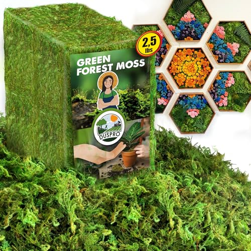 Duspro Green Forest Moss for Crafts, Real Dried Decorative Moss, 2.5 Lbs - color: 2.5 Lbs