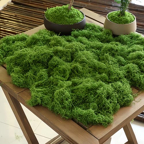 Preserved Reindeer Moss Natural Green DIY Kit Gardenning Art Wall Decor Florist Decor Easter Table Decor Wedding, Green, B