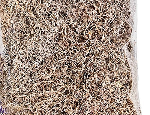 Preserved Moss 8oz Bag (Spanish Moss Natural)