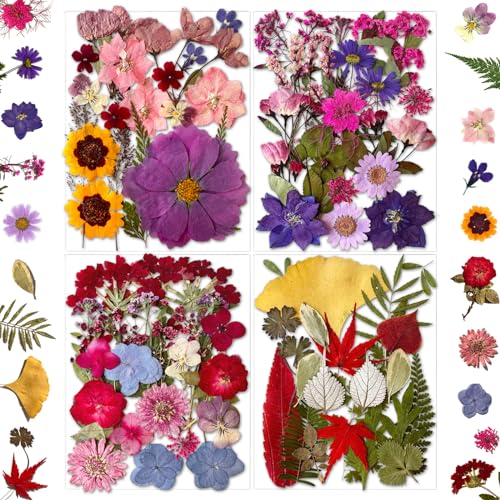 MIKIYA 85Pcs Dried Pressed Flowers for Resin Molds, Real Natural Bulk Dry Floral Leave for DIY Art Crafts, Epoxy Jewelry, Candle, Soap Making, Nails Decors Gifts - color: Flowers & Leaves