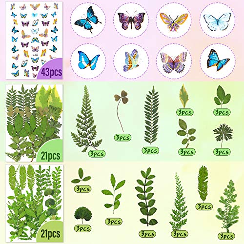 Nuanchu 223 Pcs Real Dried Pressed Flowers for Crafts Natural Dried Leaves and Butterfly Stickers Set Colorful Daisy Flowers and Adhesive Butterfly Decals for DIY Resin Jewelry Nail Crafts Floral Art