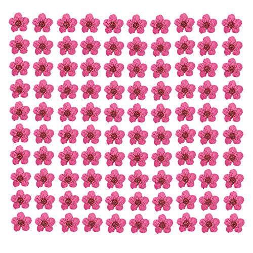 YUNZHI Pressed Flower for Resin Small Plum Blossom Narcissus, Dried Flower, Real Flower, Nail Flower Material, Glue Drop, Mobile Phone case, Hand Made 100pcs/pack (Red) - color: Red