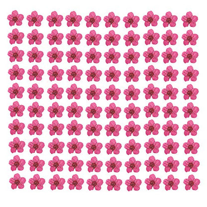 YUNZHI Pressed Flower for Resin Small Plum Blossom Narcissus, Dried Flower, Real Flower, Nail Flower Material, Glue Drop, Mobile Phone case, Hand Made 100pcs/pack (Red) - color: Red