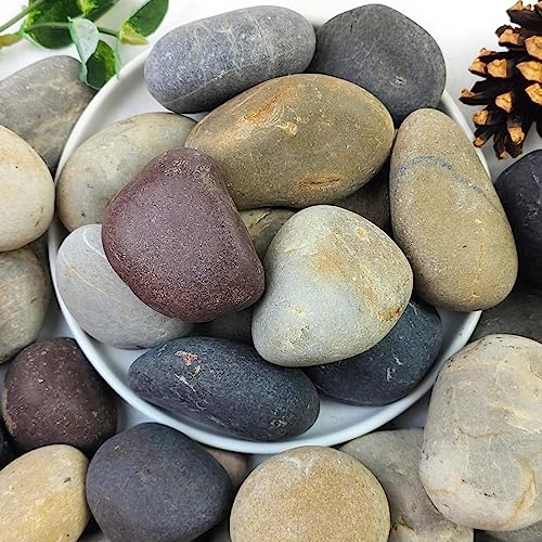 20lbs Natural River Rocks, 2"-3" Premium Pebbles for Garden | Hand-Picked Smooth Stones for Fish Tank, Flower Pots, Indoor Water Fountains, Pathways, Backyard - size: 2-3 Inch