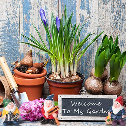 Jetec 7 Pieces Gnomes Fairy Resin Statues Miniature Garden Mini Gnome Statue for Table and Garden Decoration for Holiday Festival Decoration, Relatives Friends