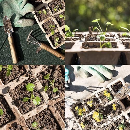 144 Cells Seed Starter Pots, 12 Pcs Biodegradable Seedling Peat Pots - size: 144 Cells-12 Pcs