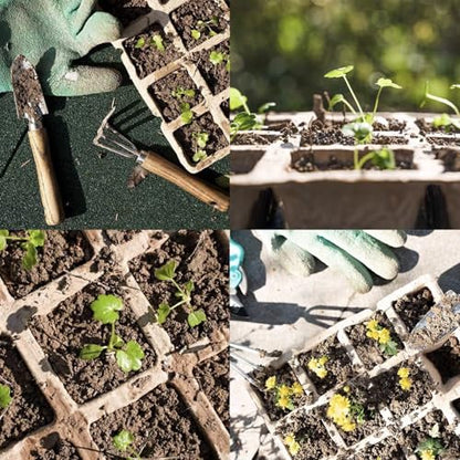 144 Cells Seed Starter Pots, 12 Pcs Biodegradable Seedling Peat Pots - size: 144 Cells-12 Pcs