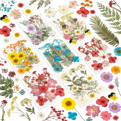 203 Pcs Dried Pressed Flowers for Resin Crafts, Real Natural Pressed Flowers and Leaves Kit Butterfly Stickers Vacuum Sealed Dry Flowers for DIY Epoxy Resin Jewelry Molds, Candle Soap Making, Nail Art - color: Sapphire 203pcs