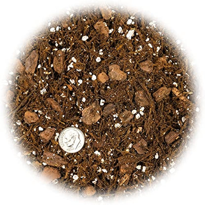 Premium Gardenera House Plant Potting Mix | Fern + New Zealand Bark + Perlite | Great for Pothos, Spider Plants, Montsera, Philodendron, English Ivy - 1 Quart Bag - color: HOUSE PLANT POTTING MIX, size: 1 Quart