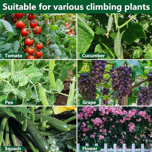 codree 2 Packs Garden Cucumber Trellis for Plant- 47 x 47 Inch Metal Arch Melon Trellis for Raised Bed- Foldable Tunnel Trellis with Climbing Net Clips for Growing Vine Vegetable - color: 2Pcs-47x47Inch