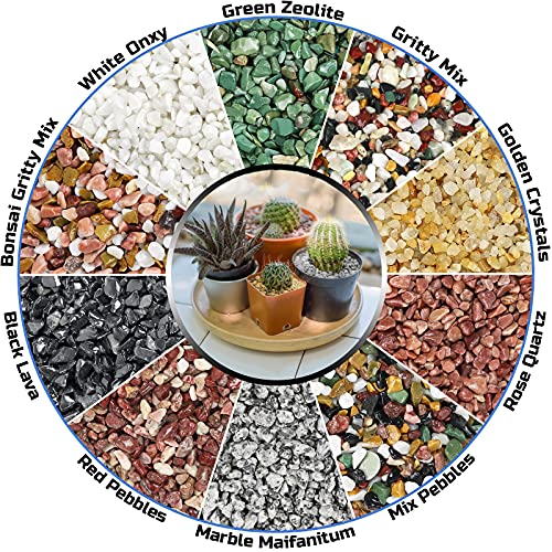 2LBS Horticultural Succulent Rocks Bonsai Mix Succulent Potting Mix Lava Rocks Cactus Soil Potting Mix Amendment - color: Mix Pebbles