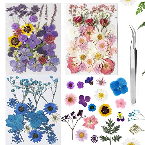 Dried Flowers Dried Flower Real Dried Pressed Flowers for Jewelry Candle Card Making DIY Resin Ornaments Nail Art Flowers Decorations