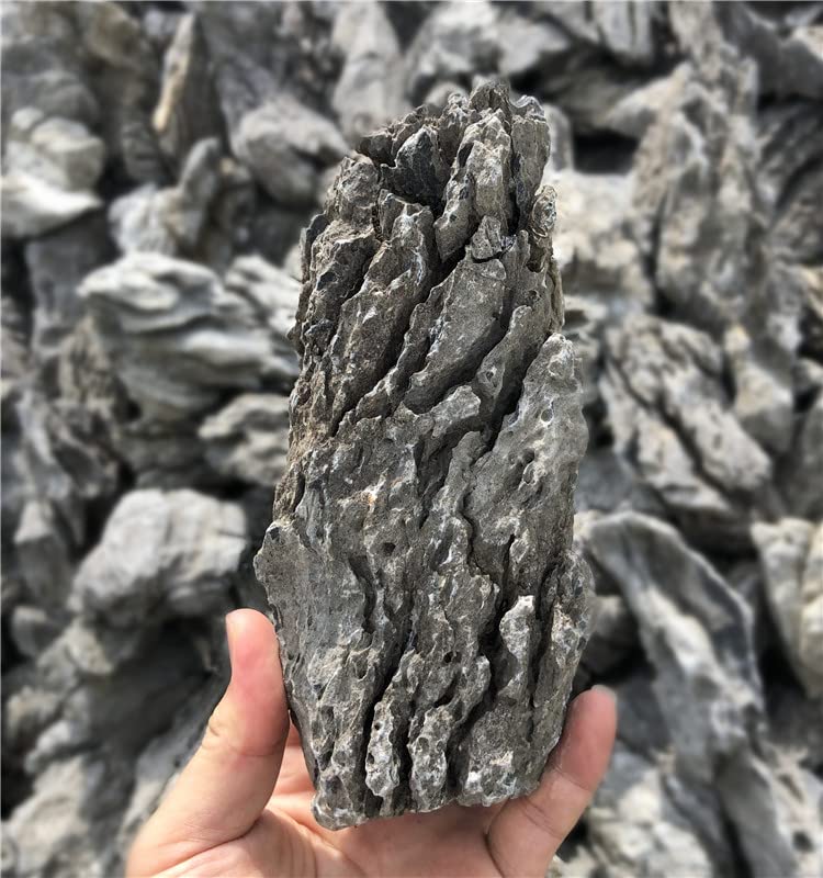KINGRUI Natural Seiryu Rock Stone 11lb Dragon Stone for Aquarium Landscaping Models Fish Tank Decoration Reptile and Amphibian enclosures 3-6inch - size: 11lb(3-6inch)