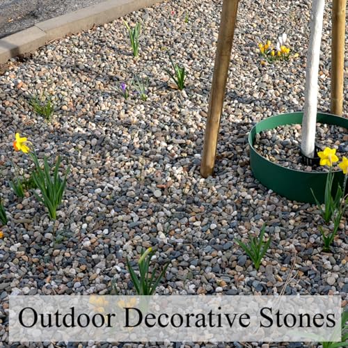 20 lbs Pea Gravel for Landscaping, 2/5 Inch River Rock, Aquarium Gravel | Fish Tank Gravel Rock Pebbles for Indoor Plant, Landscaping, Outdoor Garden, Succulent, Drainage, Vase, Fountain - size: 2/5 Inch