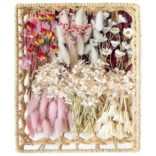 xin's convey DIY Natural Dried Flower Set for Vase, Bulk Boho Dried Flowers with Stems,Fall Decor, Mini Flower Arrangements.(Pink) - color: Pink