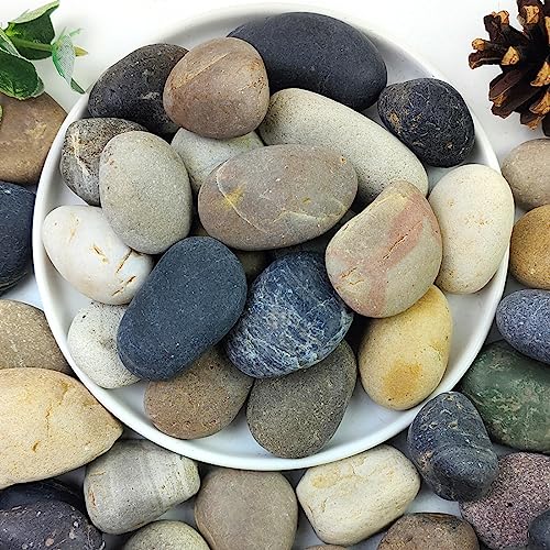20lbs Natural River Rocks, 1"-2" Premium Pebbles for Garden | Hand-Picked Smooth Stones for Fish Tank, Flower Pots, Indoor Water Fountains, Pathways, Backyard - size: 1-2 Inch
