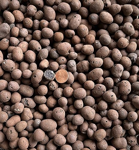 5 Liter Horticultural Ceramsite Clay Balls, Pebbles Growing Media for Hydroponic Aquaponic & Orchid - Large/Medium/Small (Medium Size) - size: Medium Size