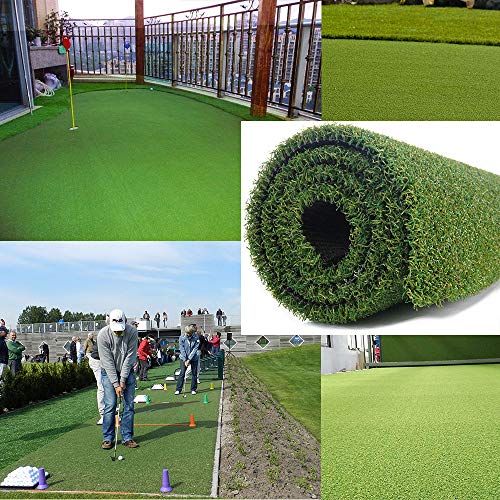 ALTRUISTIC Thick Golf Artificial Grass Turf Pro Putting Green Mat 10ft x 43ft, Customized Sizes/Indoor Outdoor Golf Training Mat, Synthetic Faux Grass for Garden Yard Baseball Football Gym Sports - size: 10 x 43ft