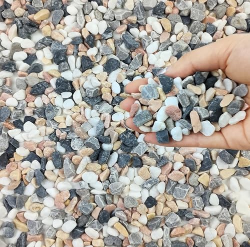 FANTIAN 2 lbs Succulent and Cactus Pebbles Rocks, 3/8 Inch Aquarium Gravel | Decorative River Rocks for Plants Indoor, Vases, Terrarium, Potted Top Dressing, Outdoor Garden Landscaping - color: Mixed Color Gravel