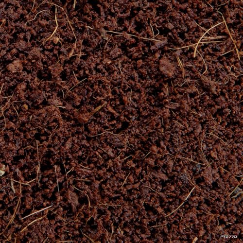Exo Terra Plantation Soil, 8 Qt (8.8 L) - size: 8-Quart