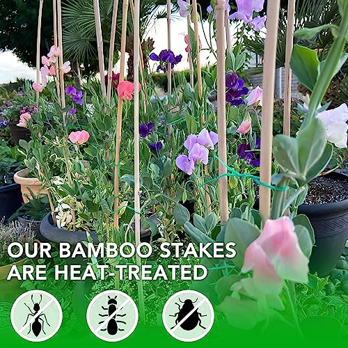 SWANGSA 75 Pack 5Ft (57.5inch) Garden Bamboo Stakes for Plant Support, Garden Poles for Tomatoes, Beans, Flowers, Potted, Indoor and Outdoor Climbing Plants - size: 5 Feet