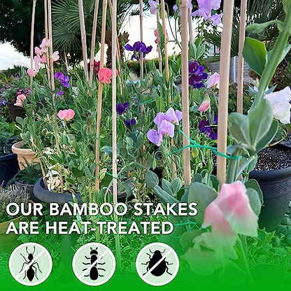 SWANGSA 40 Pack Bamboo Stakes for Plant 3 Feet,Bamboo Sticks Plant Support Garden Stakes Poles with 200pcs Twist Ties for Tomatoes, Beans, Flowers, Potted Plants, Indoor and Outdoor Climbing Plants - size: 3 Feet
