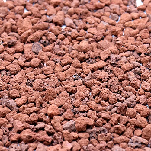 Red Lava Horticultural Lava Rocks for Plants, 1/5 Inch, 10 lbs - color: HORTICULTURAL - RED LAVA, size: Mini (0.2 Inch)