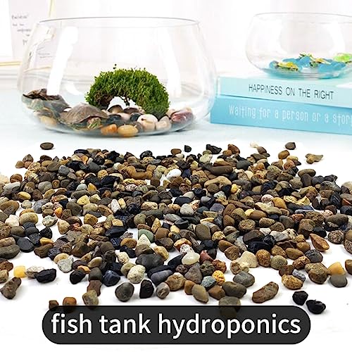 40LB Aquarium Gravel, 1/4" Pea Gravel for Fish Tank, Small River Rocks for Garden Decoration, Landscaping, Vase Filling, Flower Pot Paving（4-8MM） - size: 40LB, style: 4-8MM