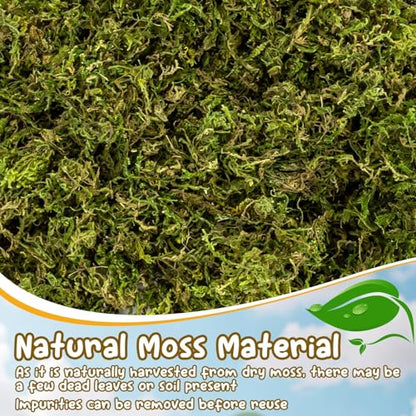Sukh Hamster Moss - 5.6 Oz Forest Moss for Hamster Bedding Nesting Hideout Dried Moss Reptile Moss for Squirrels Hamsters Guinea Pigs Mices Small Animals Cage Accessories