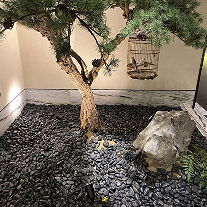 FANTIAN 10 lbs Pebbles for Landscaping, 1-2 Inch Black Rocks for Plants | Polished River Rocks Stone for Plant Indoor, Vase, Aquarium, Garden, Fountain, Outdoor, Planter Filler for Artificial Plants - size: 1-2 inch, style: 10.0 Pounds