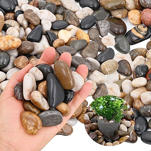 20Ib Rain Forest Rocks- Decorative Pebbles for Plants- River Rocks for Outdoor Landscaping- 0.3"-0.8" inch High Polished Stones for Aquarium, Terrarium,Vases, Home Decor - style: high polished mixed