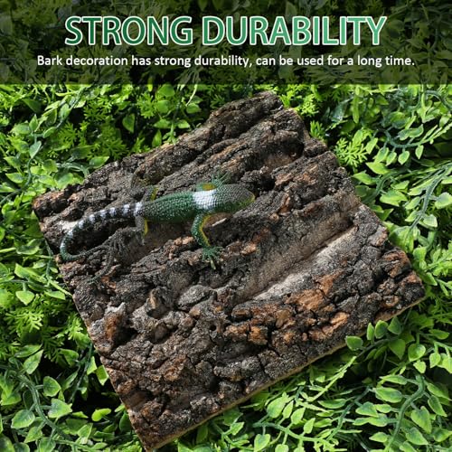 Toddmomy Cork Bark Reptile Terrarium Background 8 Pieces Natural Bark Wood for Gecko Lizard Frog Bearded Dragon Aquarium Decorations Climbing Habitat Decor 5.90 X 5.90 X 1.57 in - size: 8pcs