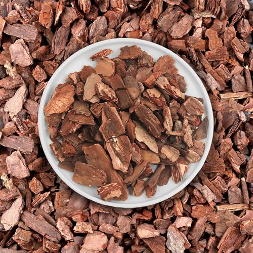 Orchid Potting Bark-6QT Organic Orchid Bark for Plants, All Natural Pine Bark Wood Chips for Houseplant Mulch, Orchid Plants Root Development, Mulch for Potted Plants - color: Large, size: 6 Quarts