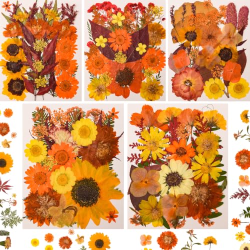 5 Packs 140 Pressed Dried Flowers & Leaves, Fall - color: Fall