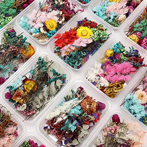 Dried Flowers for Resin Mixed Pressed Dry Flower Leaves Multiple Natural Pressed Flower Real Mini Flowers Crafts Colorful Handmade Dry Plants for Soap DIY Jewelry Pendant Floral Decors(12 Boxes)