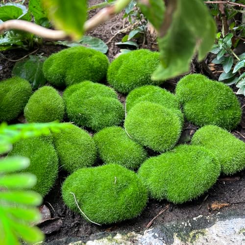 5Pcs Artificial Moss Rocks Green Moss Stones for Garden Crafting Simulation Crafts Foam Fake Rock DIY Landscape Decor 5x7cm