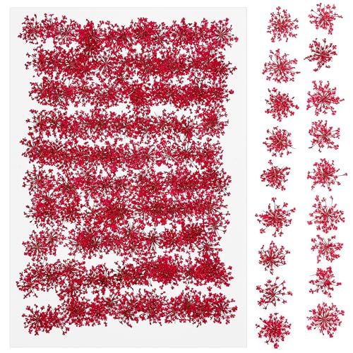 Cayway 150 PCS Dried Pressed Flowers, Real Pressed Flowers for Resin, Real Nature Flowers Set for Candle Soap Nail Card Scrapbook Art Craft Floral Decors, Lace Flower - color: Red-150