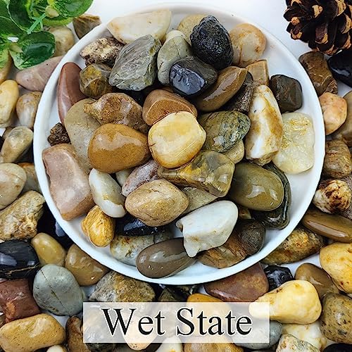 20lbs Aquarium Rocks, 5/8" Natural River Rocks for Plants | Decorative Polished Mixed Pebbles for Fish Tank, Landscaping, Gardening, Flower Pots, Vase Fillers, Indoor Water Fountains - size: 5/8 Inch