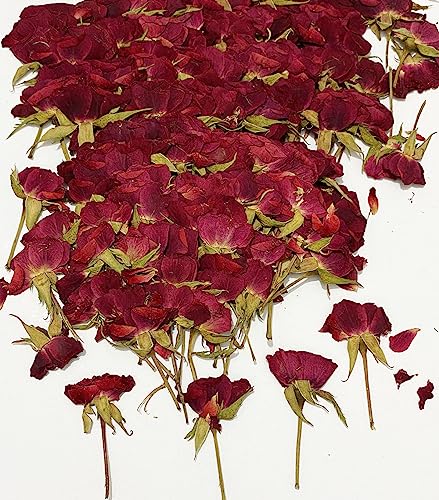 12 pcs Red Rose with Stem Real Natural Dried Pressed Flowers for Resin Scrapbooking DIY Candle Decoration Jewelry Crafts - color: Red Rose With Stem