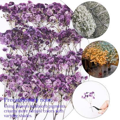 50Pcs Babys Breath Dried Pressed Flowers for Crafts,Xinxinran Purple Dry Flowers Kit for Wedding Invitation Accessories,Bookmark,Jewelry Molds,Candle Making Supplies,Soap,Frame,Cakes - color: Purple Baby's Breath