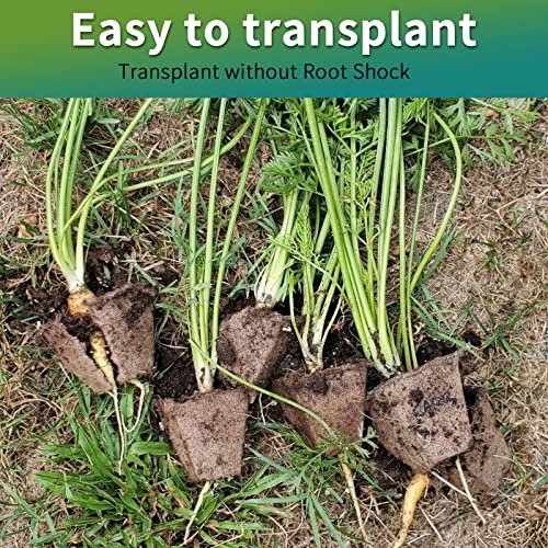 TCBWFY 640Cells Seedling Start Trays,40 Pack Peat Pots Seedling Pots Biodegradable,Seedling Starter Kit,Organic Germination Plant Starter Trays - size: 640cells-40pcs
